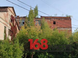Заросшие деревьями краснокирпичные промышленные корпуса с разбитыми окнами и растениями на крыше