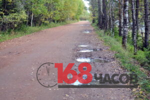 Грунтовая дорога среди берёз, вдоль обочины тянется ряд заполненных водой ям