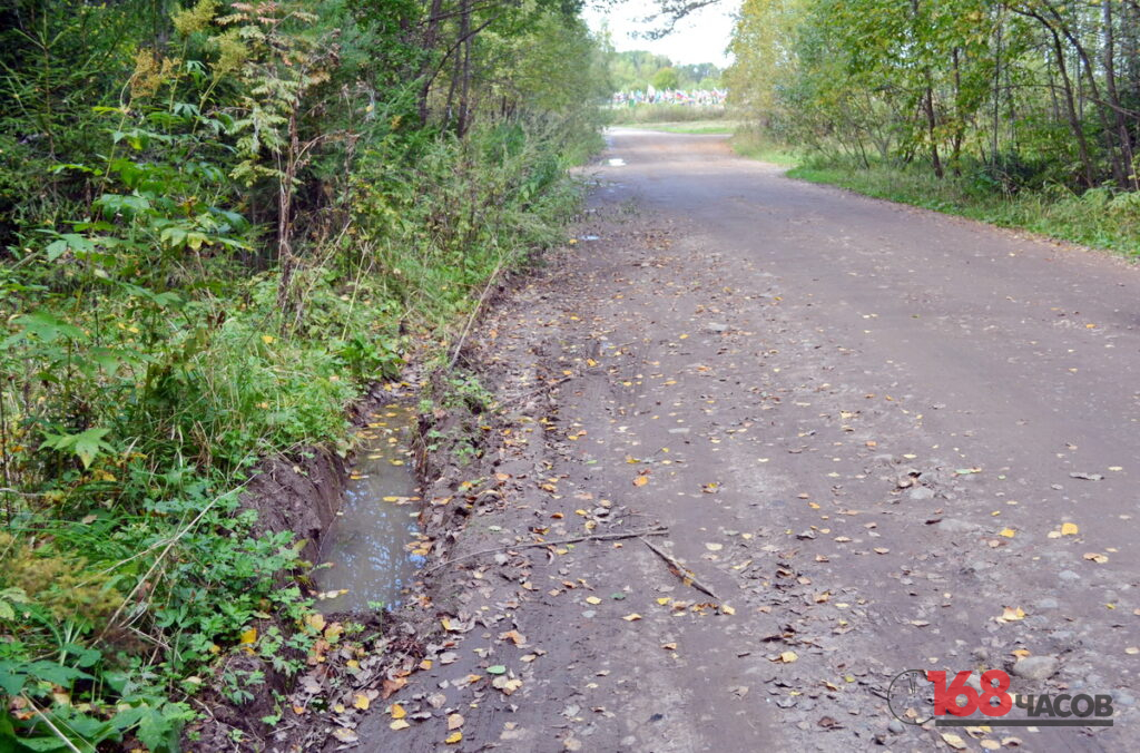 Грунтовая дорога у леса, на размытой обочине стоит вода
