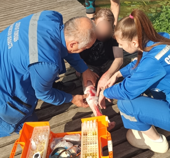Сотрудники скорой помощи оказывают помощь пострадавшему на деревянном причале