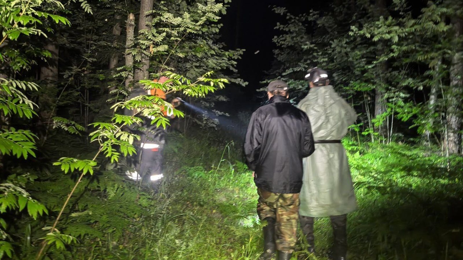 Поисковики с фонарями в ночном лесу