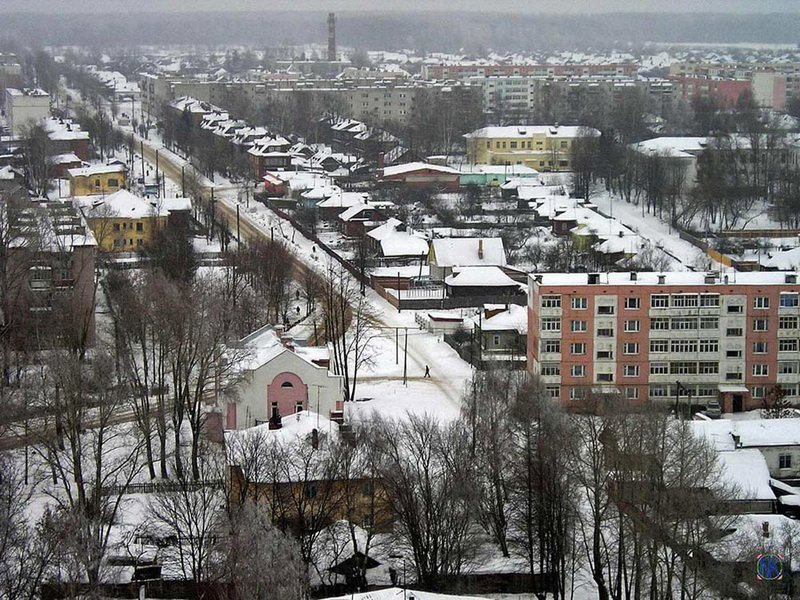 Панорамный зимний вид на жилую застройку посёлка: многоквартирные и частные дома, деревья и снежные улицы.