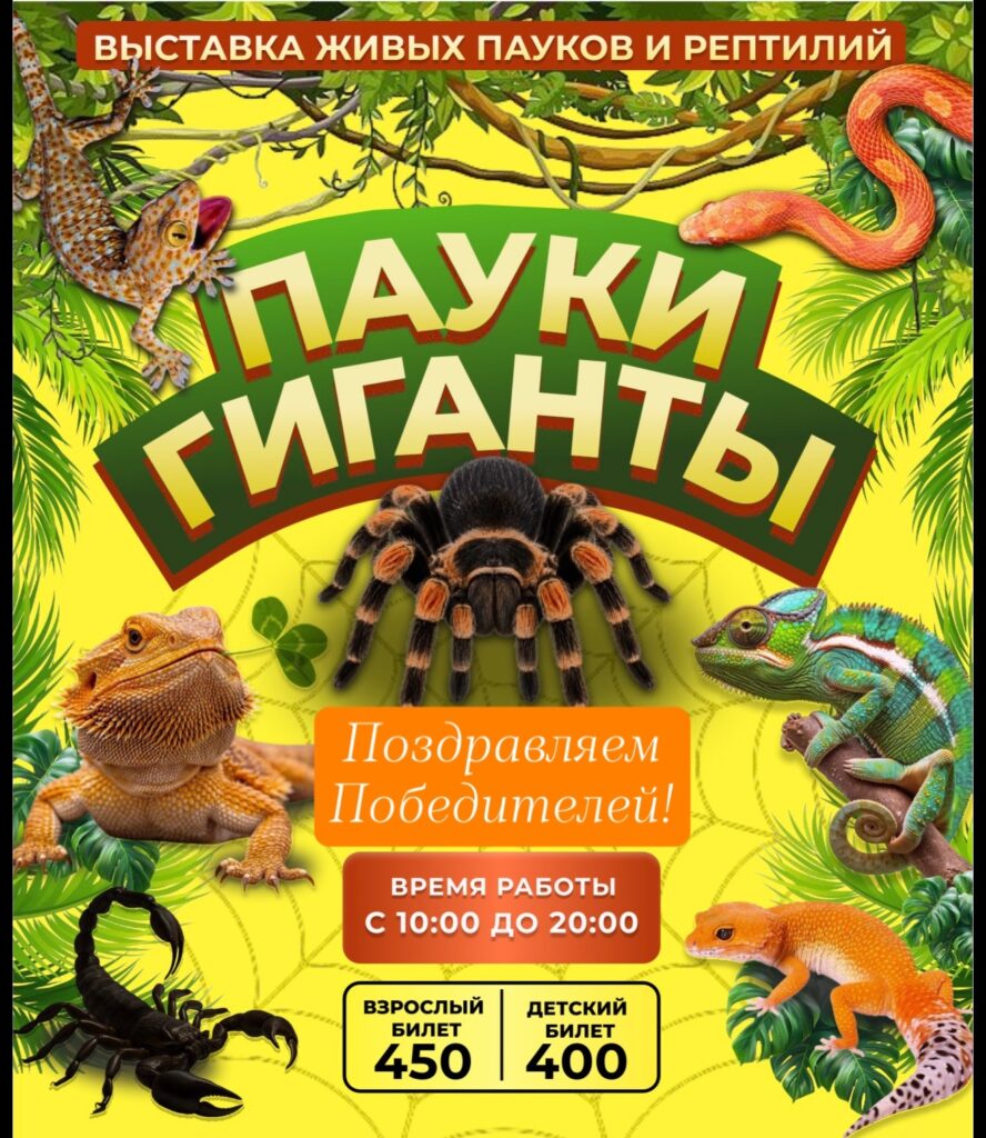 Яркий плакат выставки с пауком-птицеедом, змеёй, скорпионом и несколькими ящерицами среди тропической листвы
