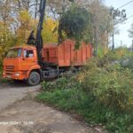 оранжевый ломовоз с краном загружает ветки и растительные отходы у обочины на фоне осенних деревьев