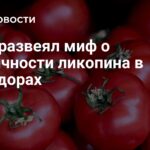 крупный план красных спелых помидоров с зелёными плодоножками на фоне, поверх — логотип и заголовок