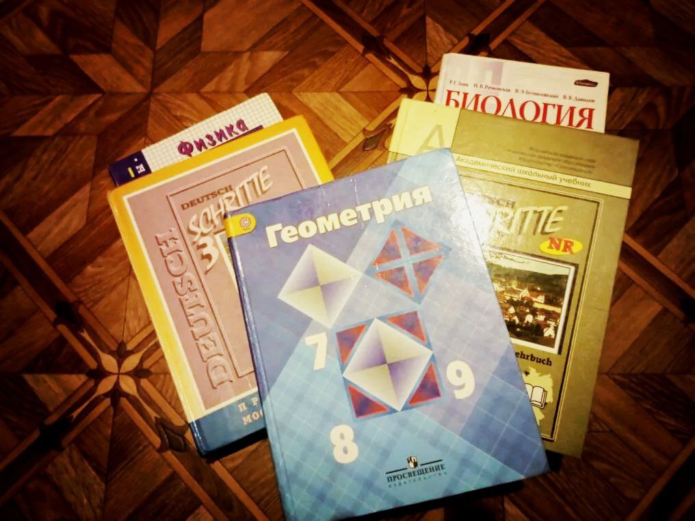Стопка школьных учебников (Геометрия, Физика, Биология, Deutsch) на деревянном полу