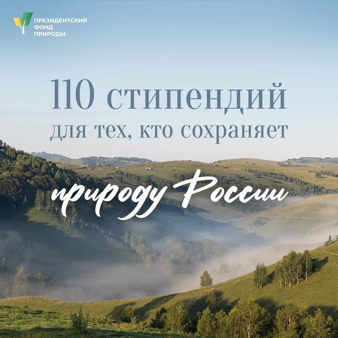 Постер с логотипом «Президентский фонд природы» и надписью «110 стипендий для тех, кто сохраняет природу России» на фоне долинного пейзажа.