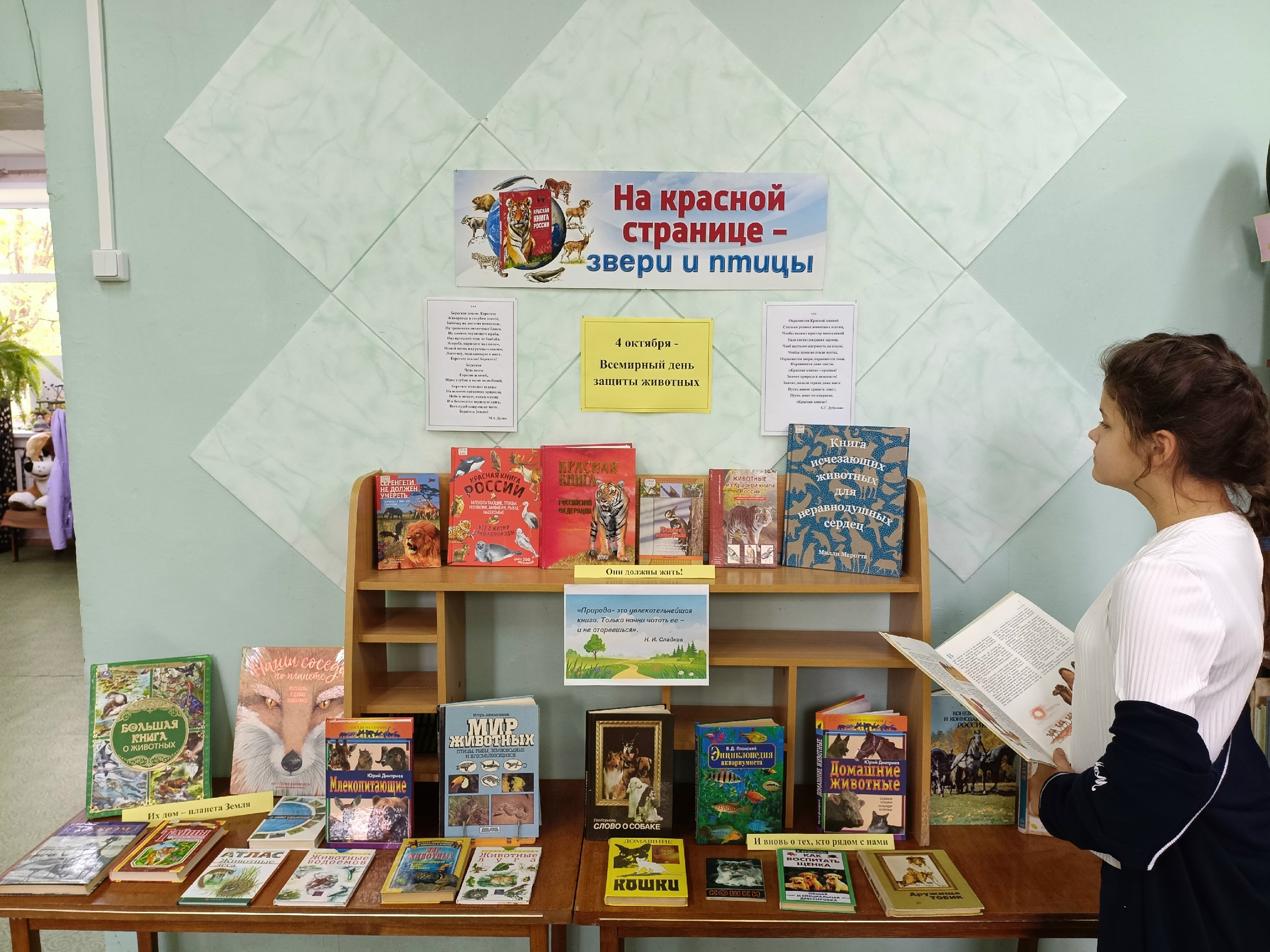 книжная выставка о животных на стенде в детской библиотеке с плакатом «На красной странице - звери и птицы», полки с книгами о животных и ребёнок с книгой