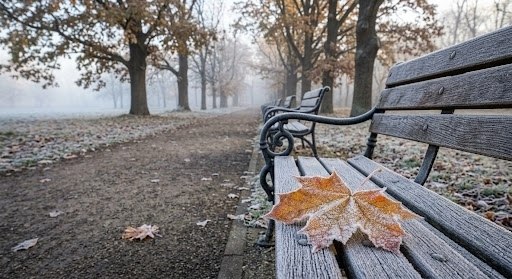 Пустая скамейка в парке, покрытая инеем; рядом замёрзший осенний лист.